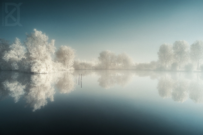 Mundo de cuento de hadas en luz infrarroja Mundo de cuento de hadas en luz infrarroja