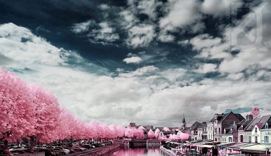 Mundo de cuento de hadas en luz infrarroja