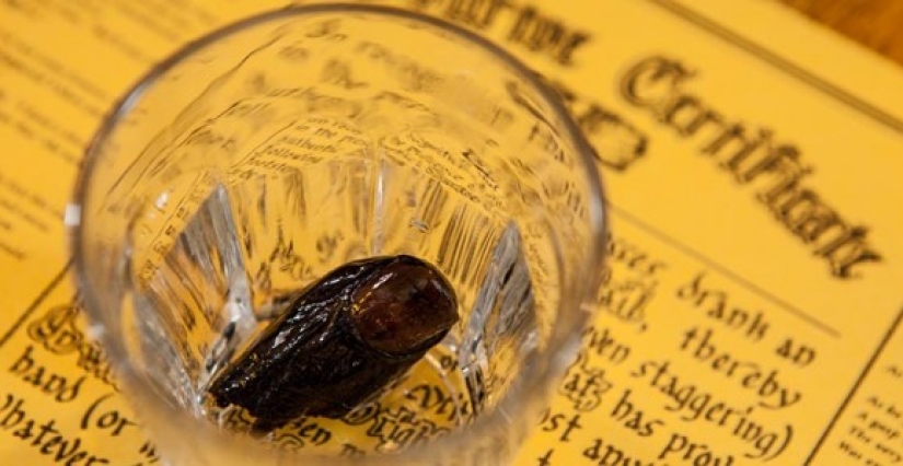 My feet in my mouth: the glorious history of the Canadian alcoholics club "Sour Finger"