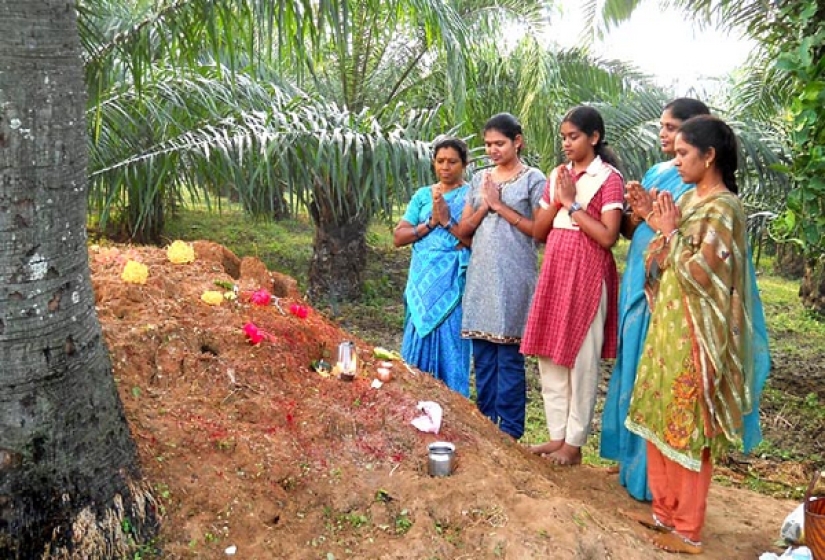 Nagapanchami es una fiesta hindú en la que todos engatusan a las serpientes en lugar de trabajar