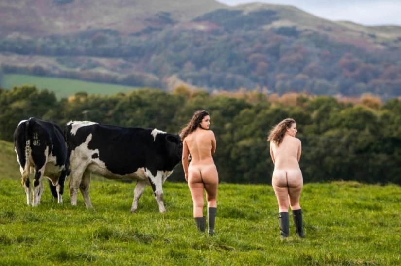 Naked Mercy: Scottish veterinary students undressed in the name of charity Naked Mercy: Scottish veterinary students undressed in the name of charity