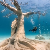 New Cypriot Underwater Sculpture Park in pictures
