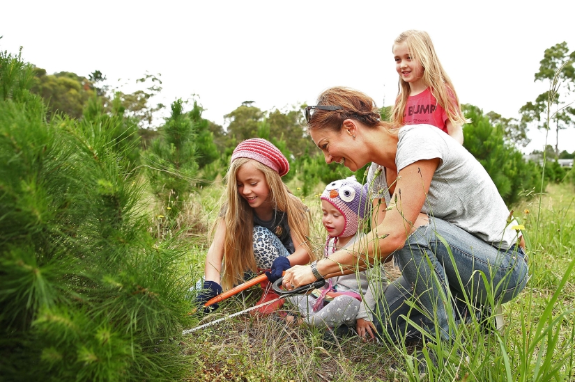 New Year and Christmas in Australian style: kangaroos instead of deer and Santa on a board with a paddle New Year and Christmas in Australian style: kangaroos instead of deer and Santa on a board with a paddle