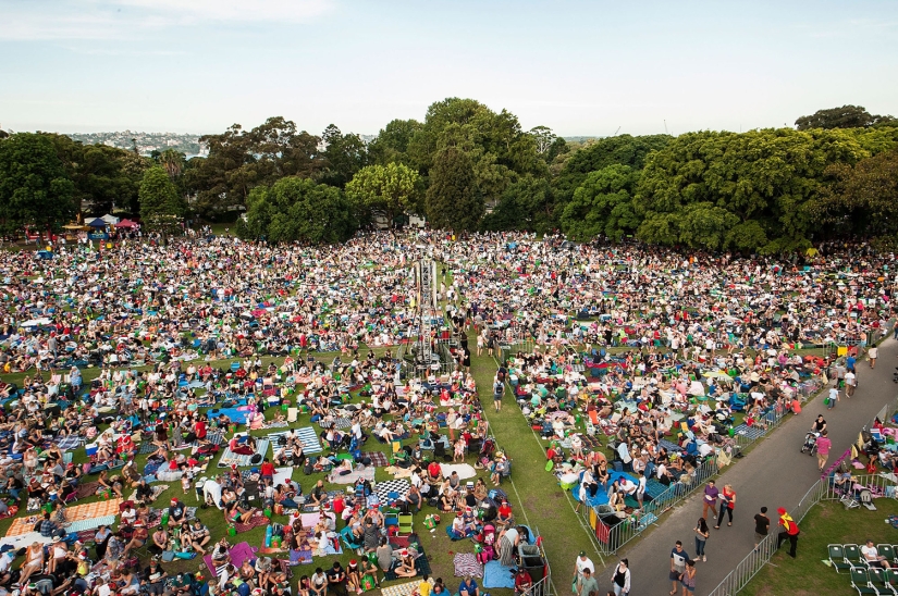 New Year and Christmas in Australian style: kangaroos instead of deer and Santa on a board with a paddle New Year and Christmas in Australian style: kangaroos instead of deer and Santa on a board with a paddle