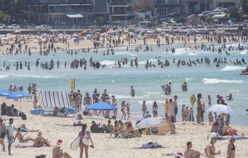 New Year and Christmas in Australian style: kangaroos instead of deer and Santa on a board with a paddle New Year and Christmas in Australian style: kangaroos instead of deer and Santa on a board with a paddle