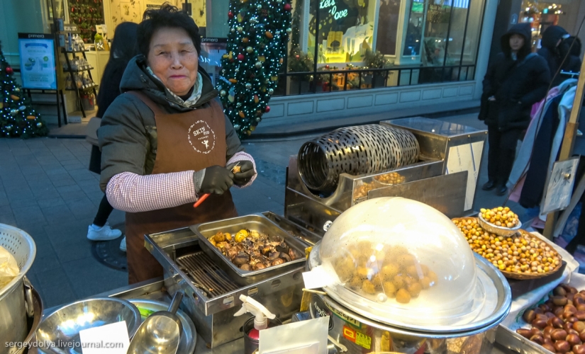 Ni un solo perro resultó herido: qué probar de la comida callejera en seúl
