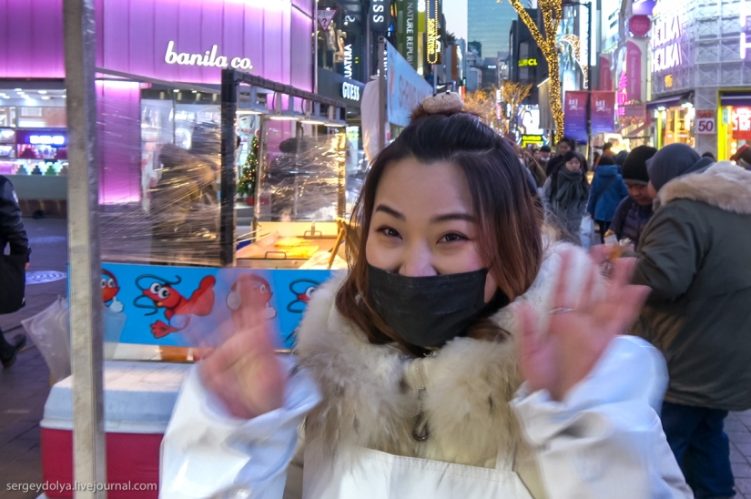 Ni un solo perro resultó herido: qué probar de la comida callejera en seúl