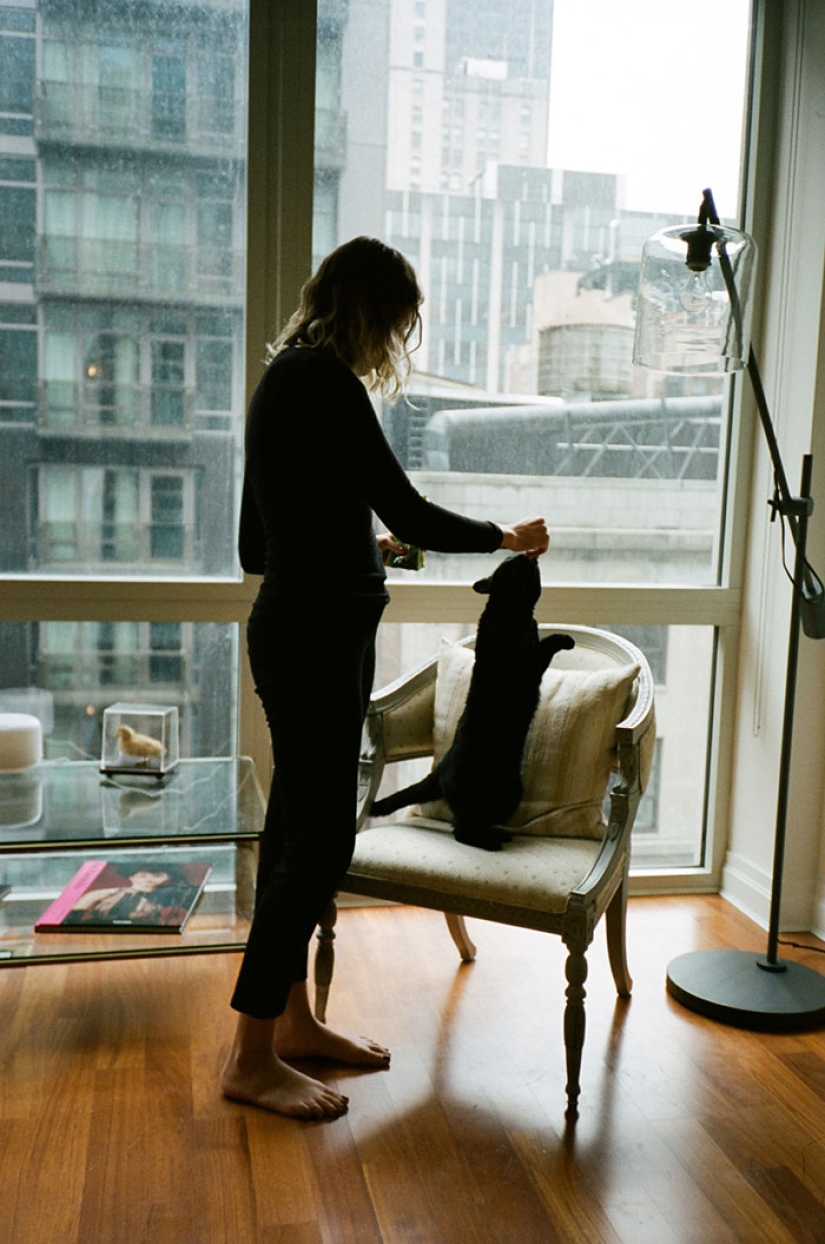 Niñas que han albergado gatos callejeros