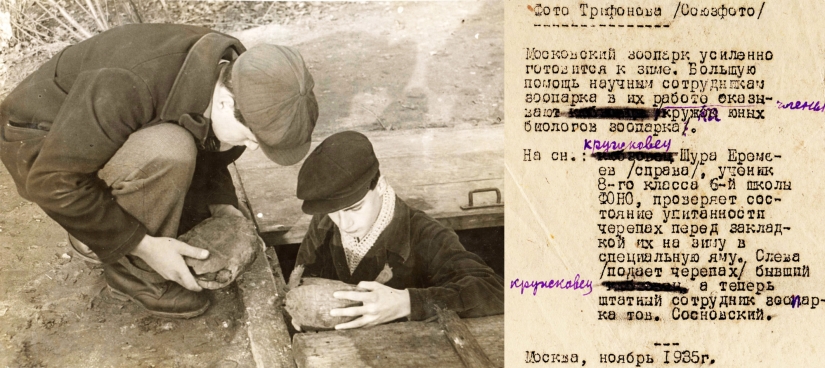 Niños en una jaula: 154 años del zoológico de Moscú Niños en una jaula: 154 años del zoológico de Moscú