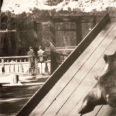 Niños en una jaula: 154 años del zoológico de Moscú