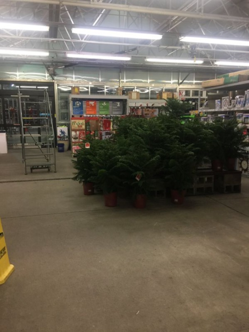 No es el lugar el que pinta la foto, sino el fotógrafo es el lugar: cómo tomar fotos hermosas en lugares feos