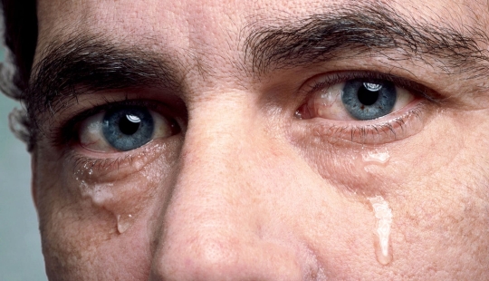 No es sexo débil: sobre la violencia femenina contra los hombres