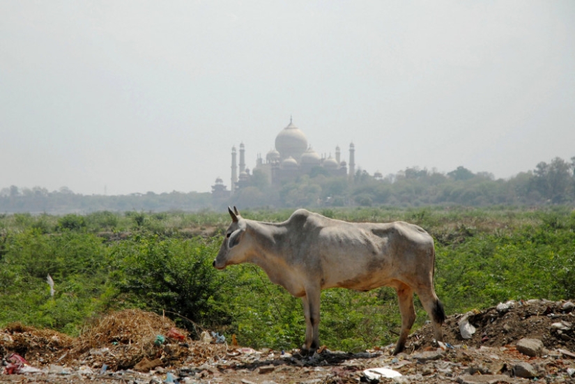 No hay lugar para turistas aquí: atracciones mundiales tomadas desde un ángulo extremadamente desfavorable