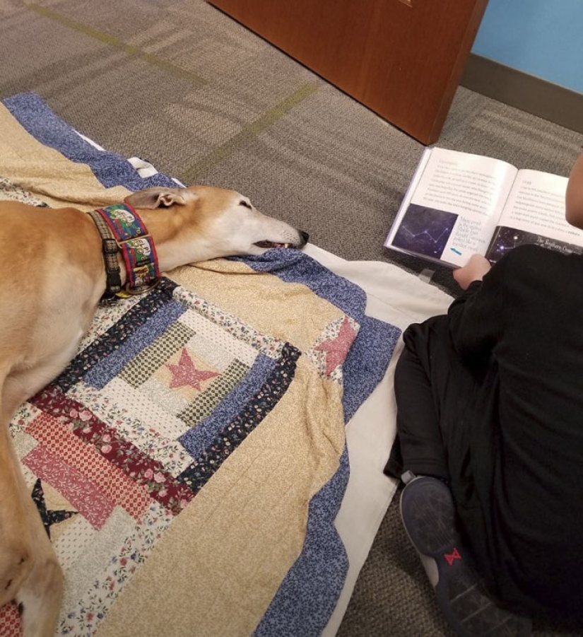 No one wanted to read aloud to the therapy dog. But thanks to the power of social networks, there is now a queue for him