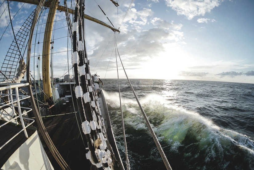 "Nos sentimos mal cuando no hay pitcheo."Marineros-sobre su amor "Nos sentimos mal cuando no hay pitcheo."Marineros-sobre su amor