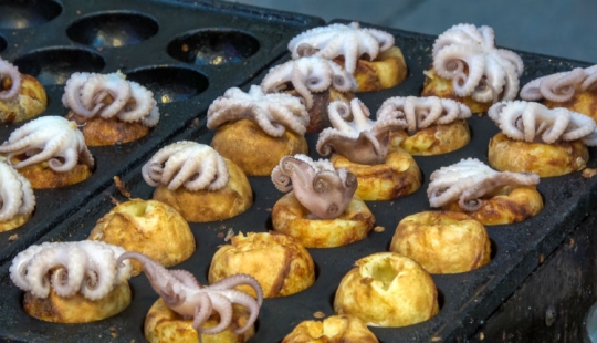 Not a single dog was injured: what to try from street food in seoul