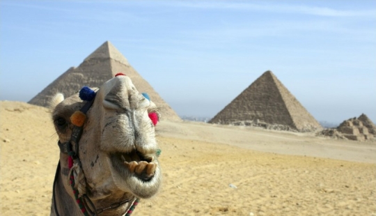 Not like in the pictures: the most disappointing tourist trips