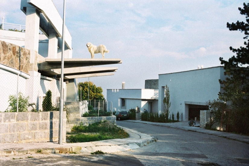 "Nothing special" or absurd photos