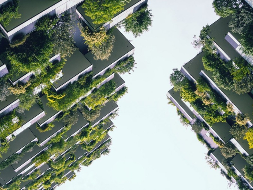 OK, Computadora: el primer concurso de fotografía, el jurado en el que hubo inteligencia artificial