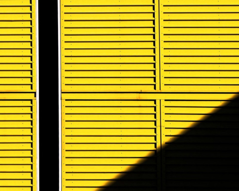 OK, Computer: the first photo contest, the jury in which there was artificial intelligence