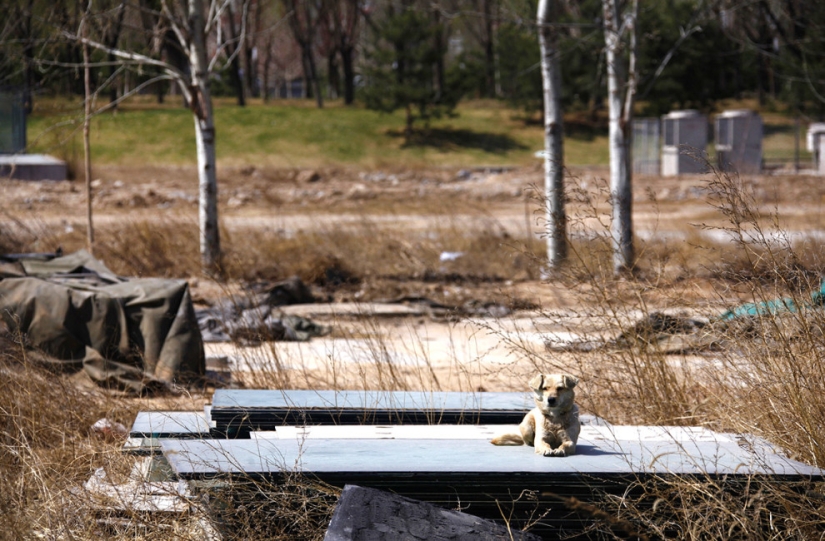 Older, worse, decrepit: Abandoned Olympic facilities today Older, worse, decrepit: Abandoned Olympic facilities today
