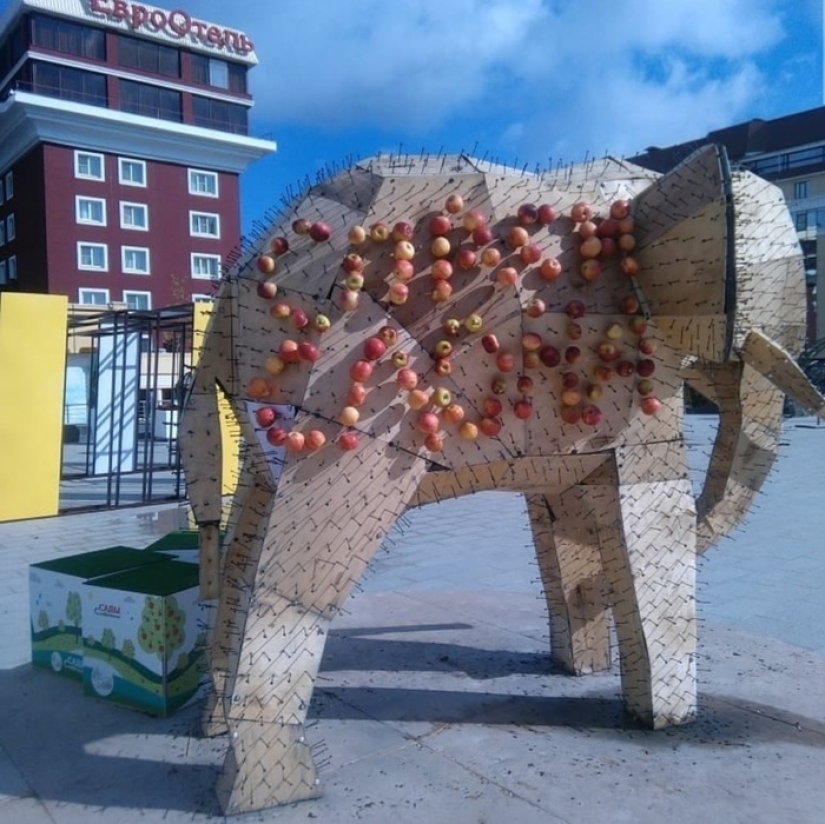 On the Day of the city, residents of Stavropol ate an elephant and gnawed the crown of a tree