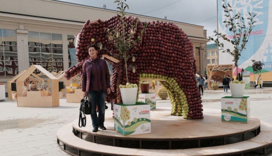 On the Day of the city, residents of Stavropol ate an elephant and gnawed the crown of a tree On the Day of the city, residents of Stavropol ate an elephant and gnawed the crown of a tree