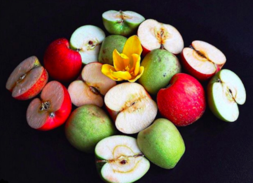 On the face of terrible, delicious inside: American woman praises "ugly" food on Instagram