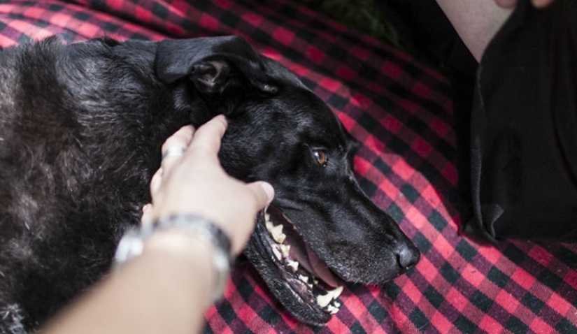 "On this day I died" "On this day I died"