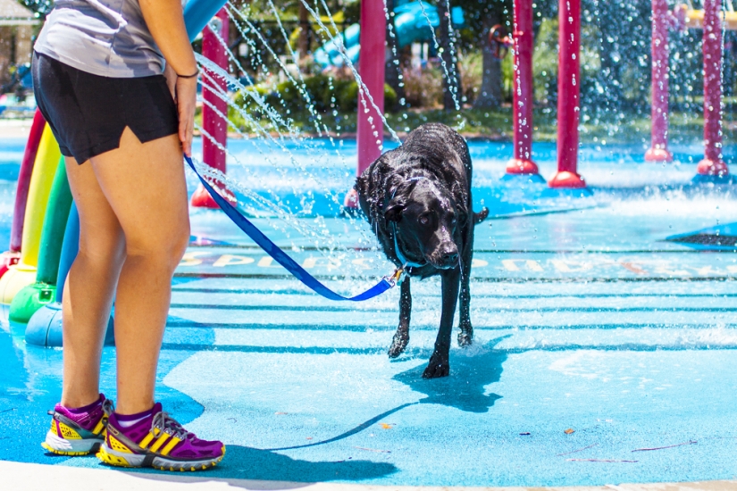 "On this day I died" "On this day I died"