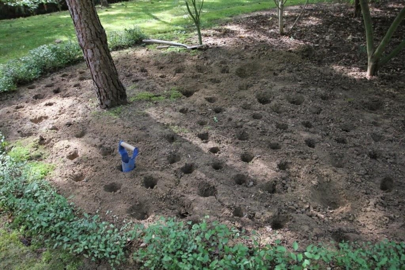 One day in a French village One day in a French village