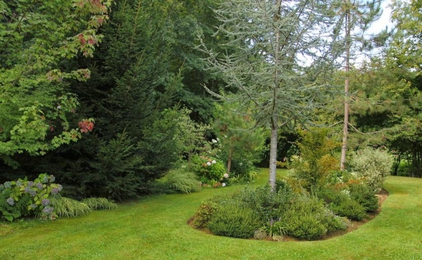 One day in a French village One day in a French village