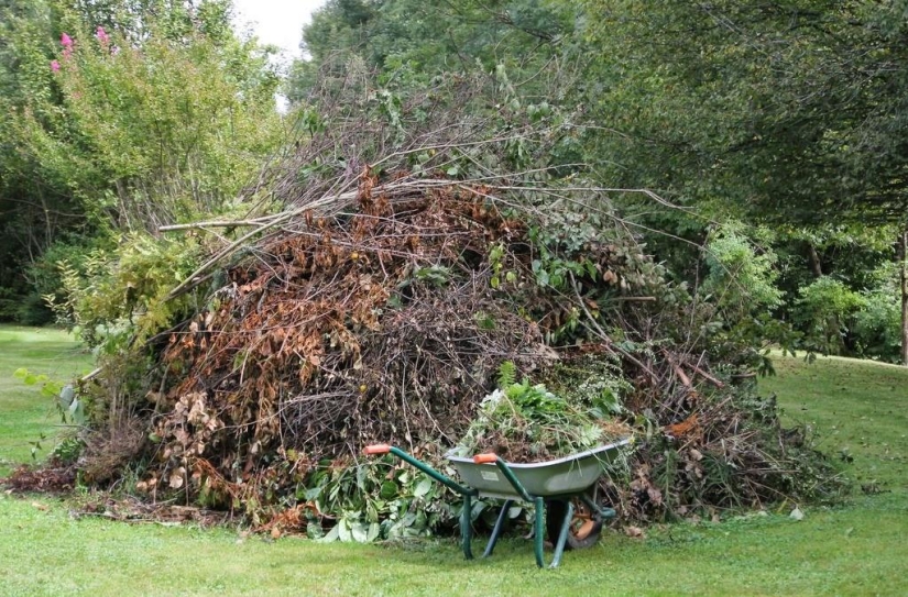 One day in a French village One day in a French village