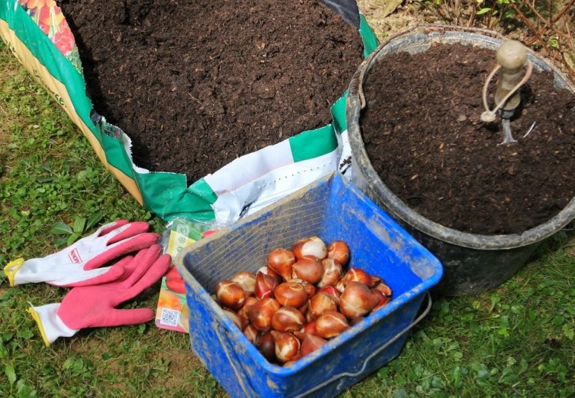 One day in a French village One day in a French village