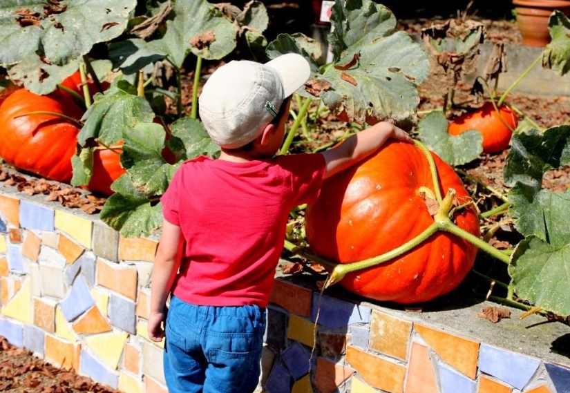 One day in a French village One day in a French village