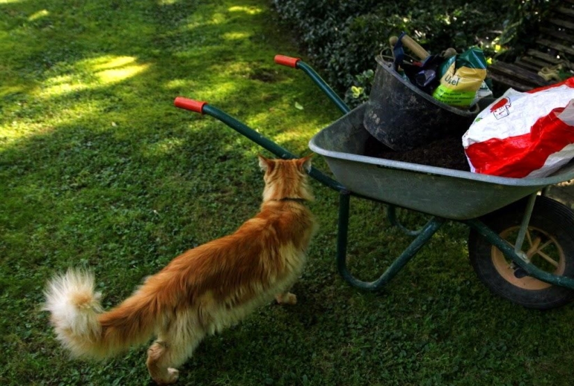 One day in a French village One day in a French village