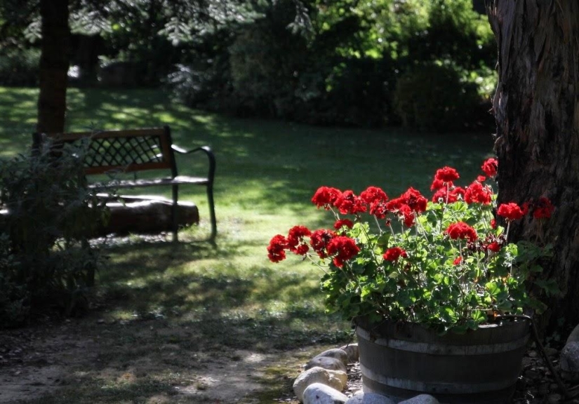 One day in a French village One day in a French village