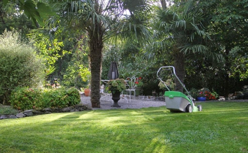 One day in a French village One day in a French village