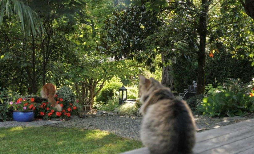 One day in a French village One day in a French village