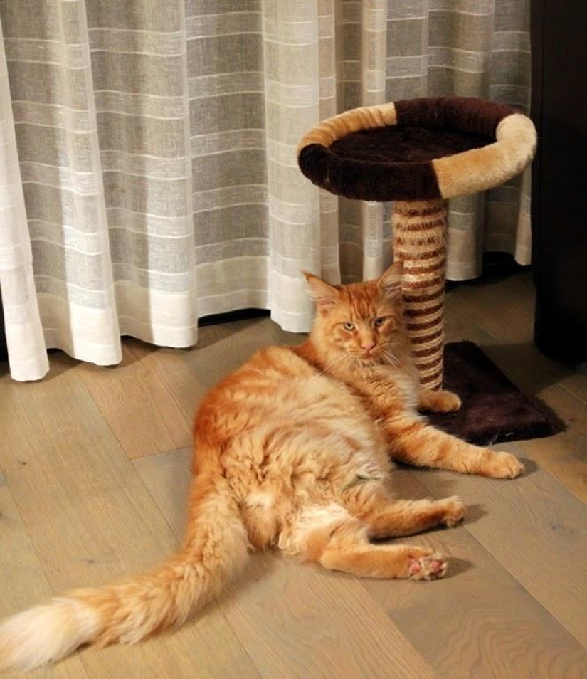 One day in a French village One day in a French village