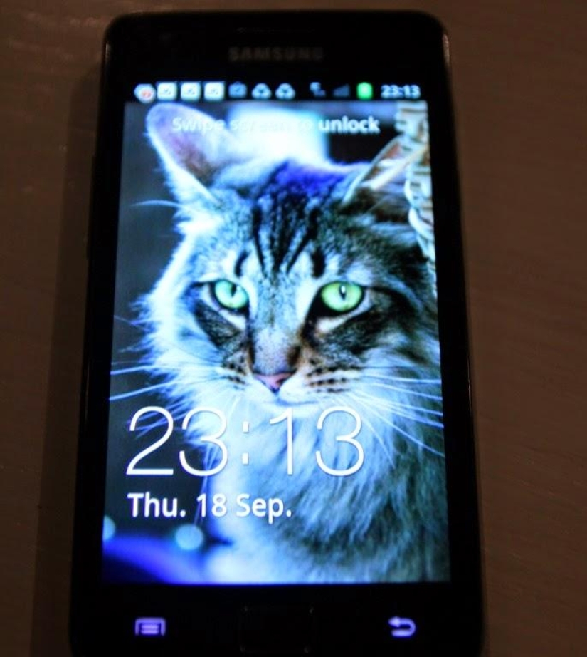 One day in a French village One day in a French village