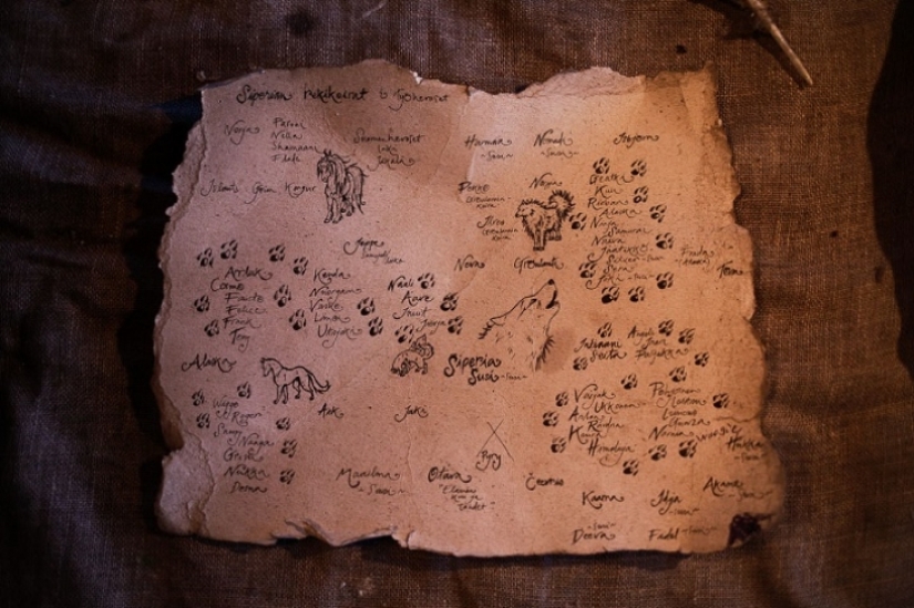 One day in the life of Donald Trump