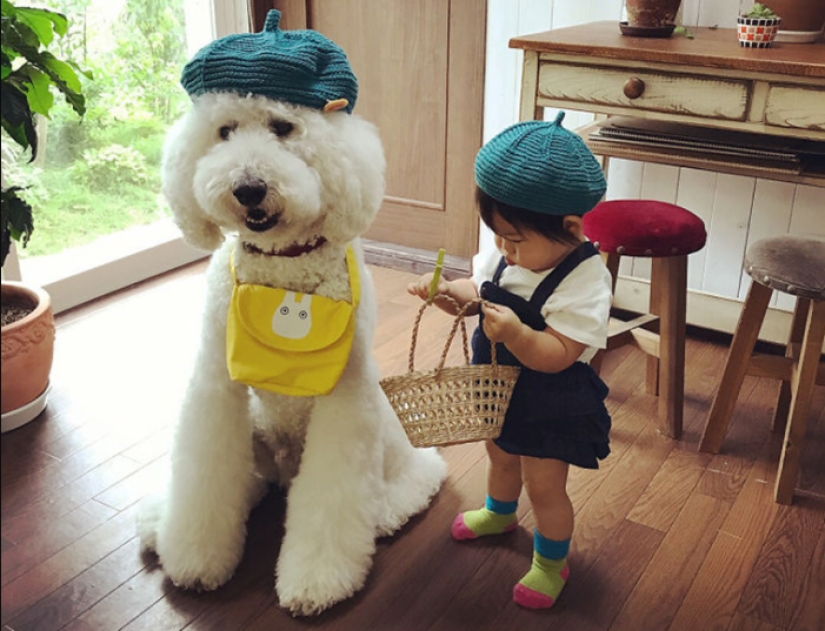 One-year-old Japanese girl, huge poodle and tender friendship