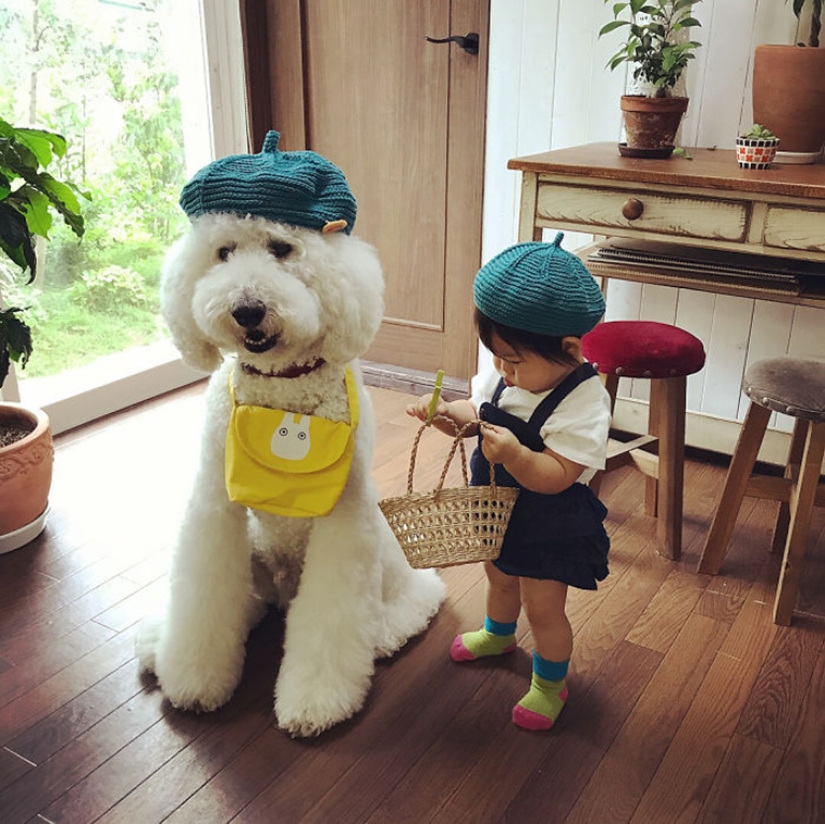 One-year-old Japanese girl, huge poodle and tender friendship