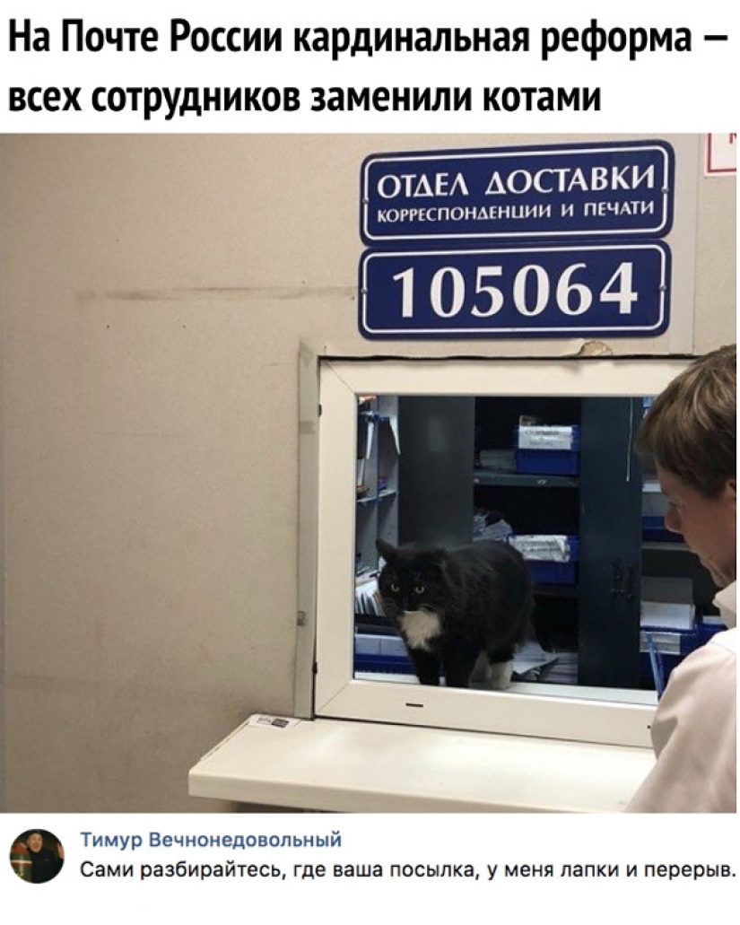 Only 85 billion rubles and the unprofitable "Russian Post" will become much "more attractive"