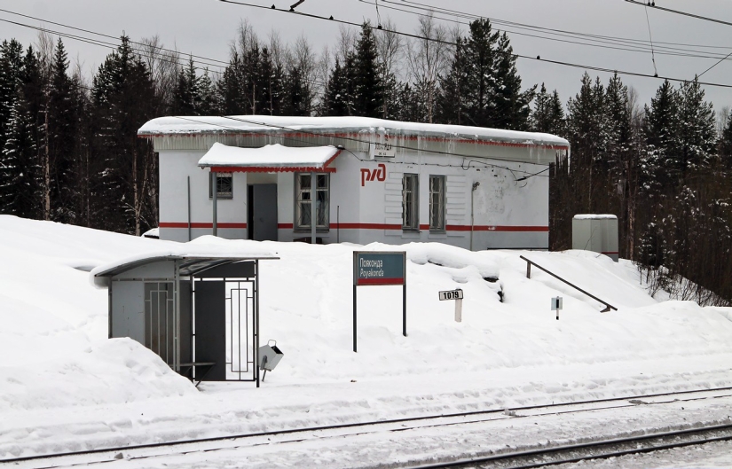 Ordinary PR or a good deed: why Russian Railways changed the movement of trains for the sake of one schoolgirl