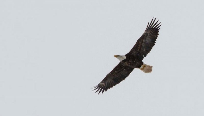 Orlan esperó fielmente a su novia en las ventanas del hospital durante toda una semana
