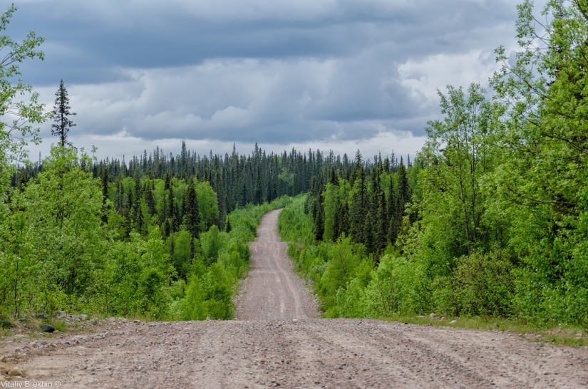 Paanajarvi National Park is a place where time slows down