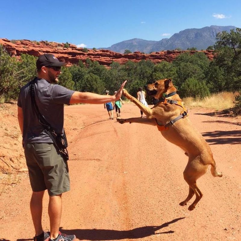 "Paga la gasolina, no el alquiler" : una pareja deja su trabajo para viajar por Estados Unidos, viviendo en un pequeño remolque