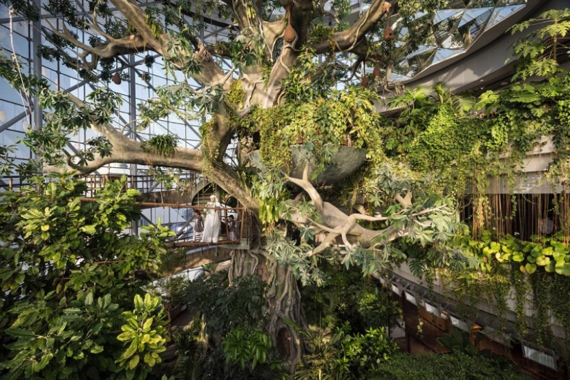 "Pan y circos": fotógrafo filmó la vida de los ricos de Dubai